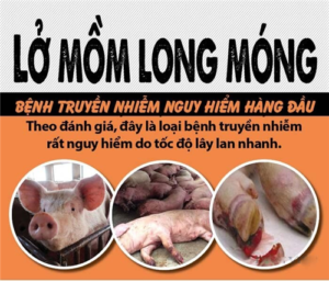 benh-lo-mom-long-mong