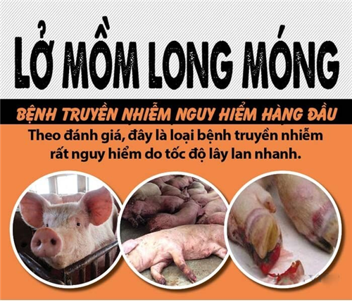 benh-lo-mom-long-mong