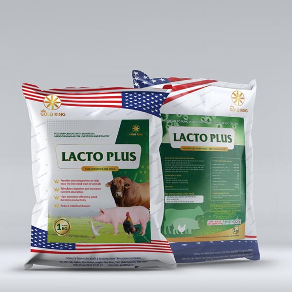 Lacto Plus